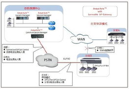网经科技IPPBX产品对外接口能力之Avaya Aura篇 计算机软硬件的技术开发实践