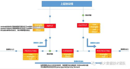 Linux虚拟网络技术 软硬件协同开发的关键基石